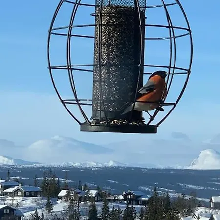 Nydelig Hytte I Naturskjonne Omgivelser * Aurdal